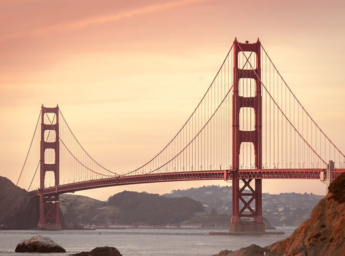 快速到账的云呼死你官网